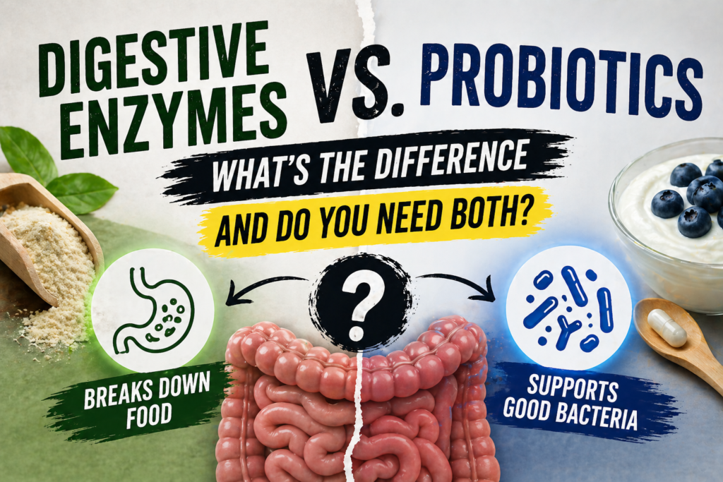 Digestive Enzymes vs Probiotics: What’s the Difference and Do You Need Both?