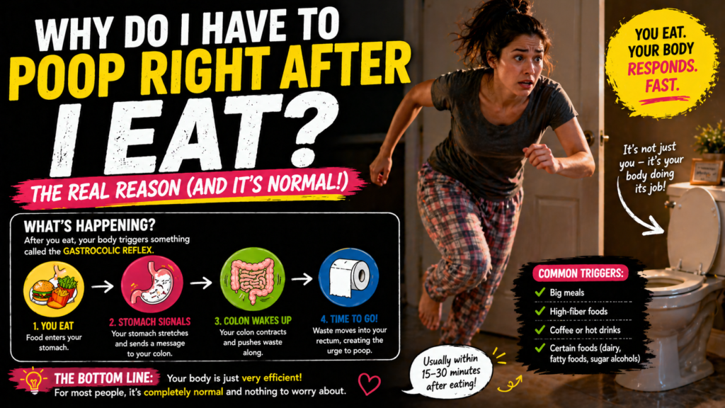 Why Do I Have to Poop Right After I Eat?