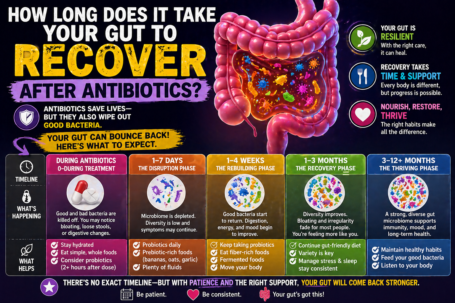 How Long Does It Take Your Gut to Recover After Antibiotics?