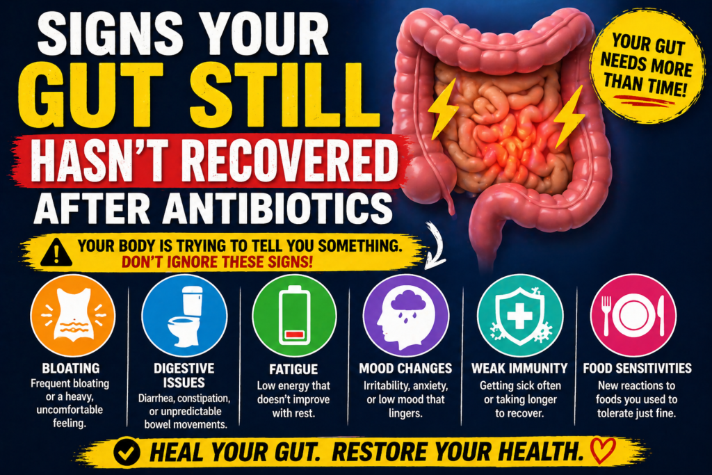 Signs Your Gut Still Hasn’t Recovered After Antibiotics