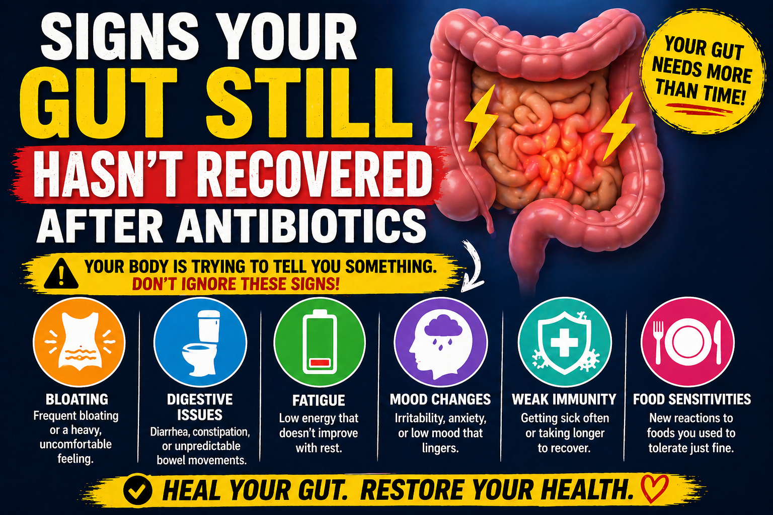 Signs Your Gut Still Hasn’t Recovered After Antibiotics