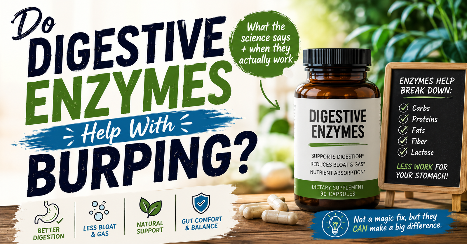 Do Digestive Enzymes Help With Burping?