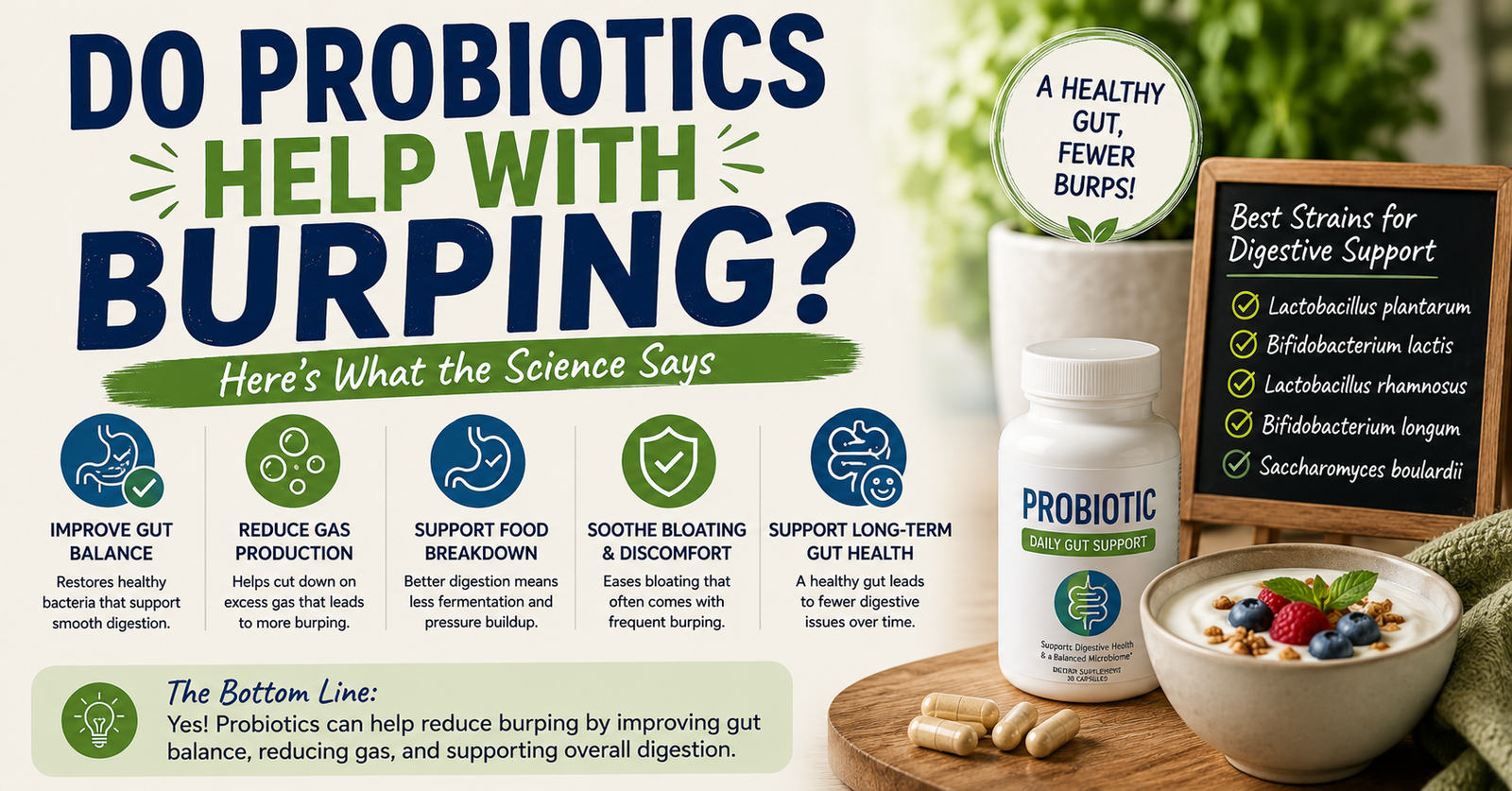 Do Probiotics Help With Burping?