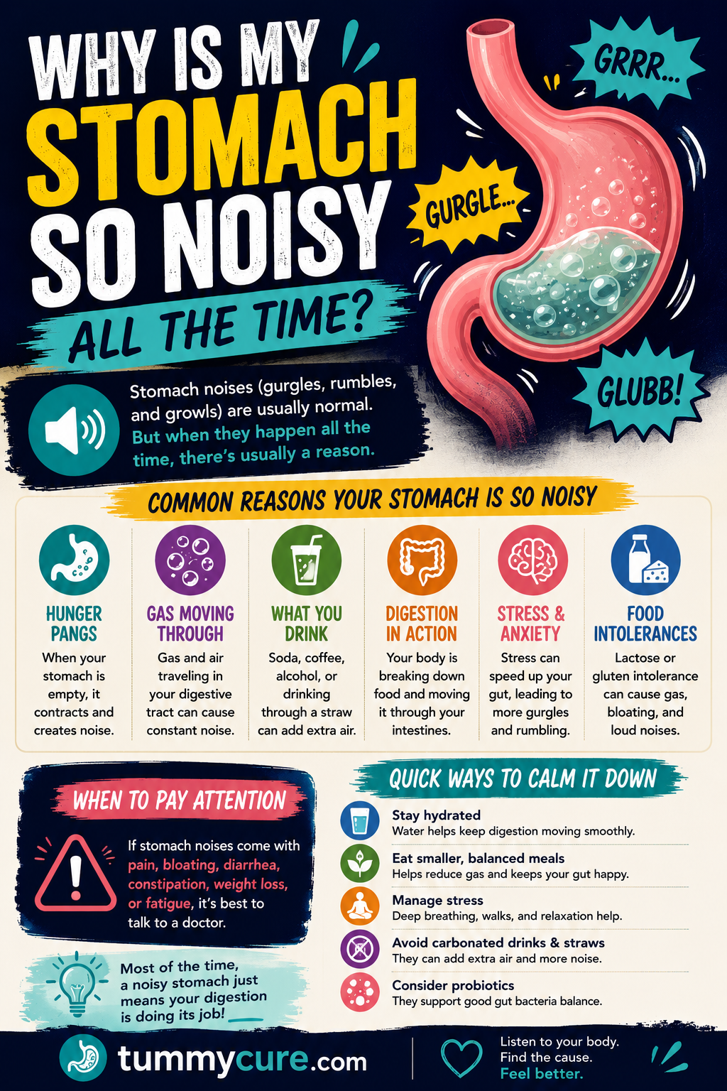 Why Is My Stomach So Noisy All the Time?